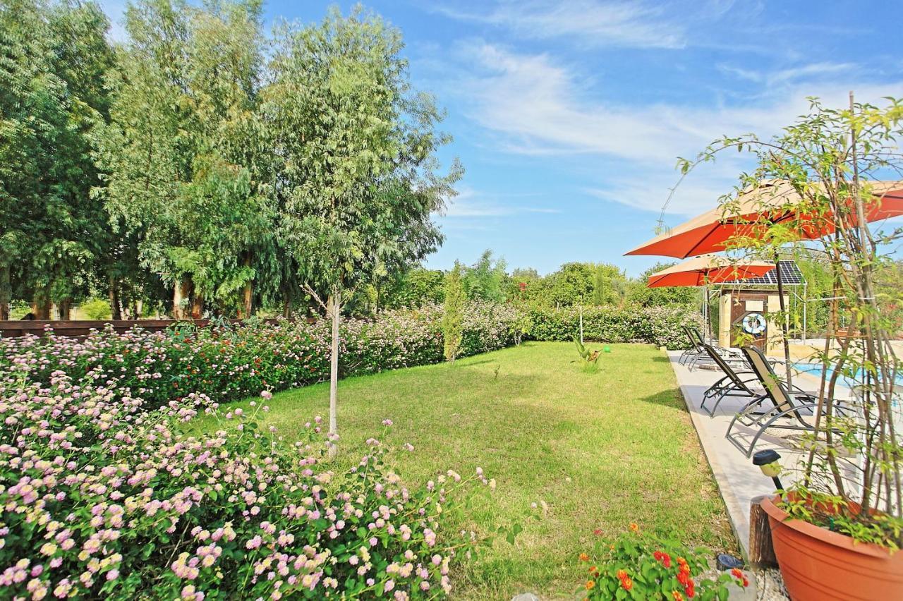 Villa Georgios Rafaela 폴리스 외부 사진